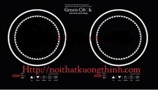 Bếp từ Green Cook GCH1