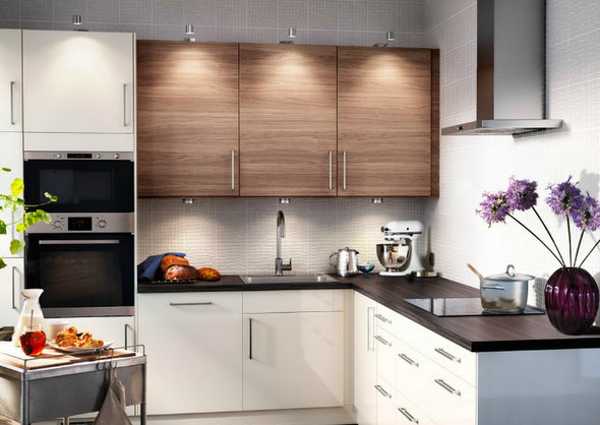 Canzy giới thiệu hai mẫu bếp điện từ có giá dưới 10 triệu đồng